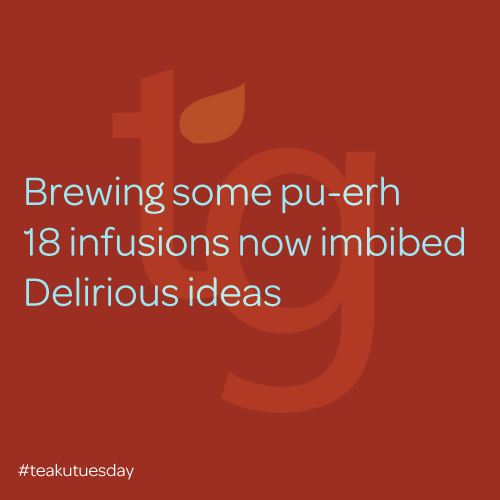 brewing some pu-erh / 18 infusions now imbibed / delirious ideas