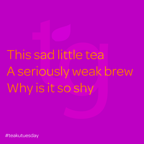 this sad little tea / a seriously weak brew / why is it so shy