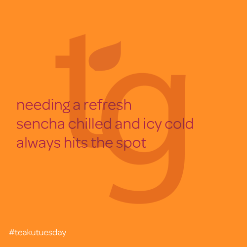 needing a refresh / sencha chilled and icy cold / a;ways hits the spot