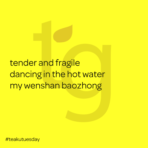 tender and fragile / dancing in the hot water / my wanton baozhong